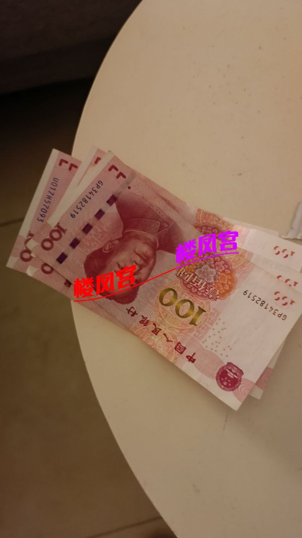 现金报告